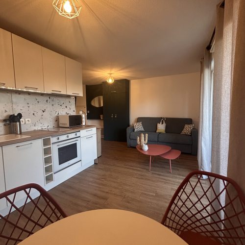 Vue cuisine et salon
